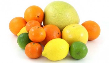 Míldio dos citrinos