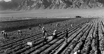 Os agricultores e as políticas agrícolas