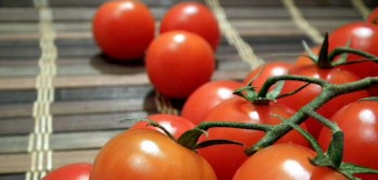 Cientistas tentam devolver sabor aos tomates