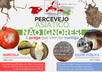 O alerta para o Percevejo Asiático continua