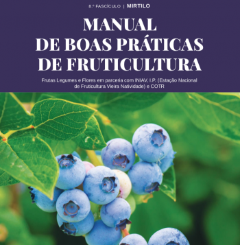 Manual boas práticas mirtilo