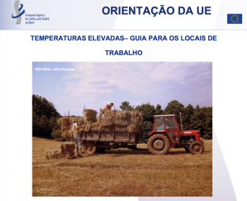 SEGURANÇA E SAÚDE NO TRABALHO 