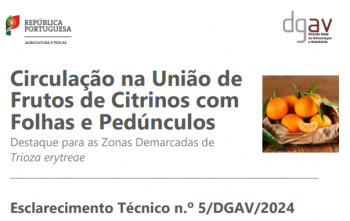 Esclarecimento Técnico n.º5/DGAV/2024