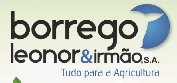 Borrego Leonor & Irmão, S.A.
