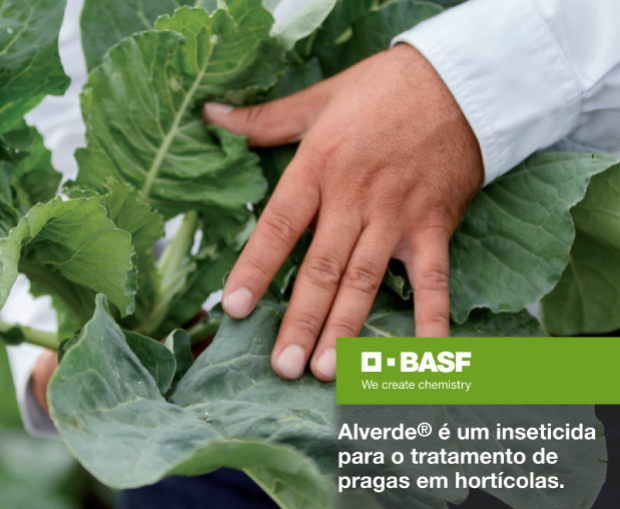 ALVERDE