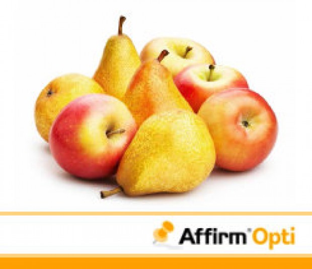AFFIRM OPTI