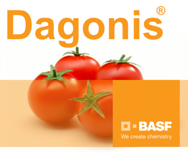 DAGONIS