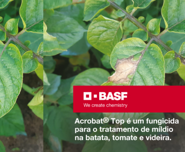 ACROBAT TOP