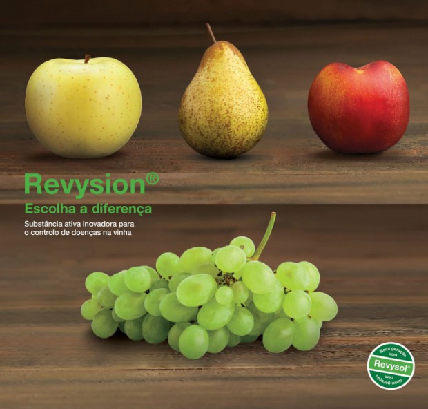REVYSION